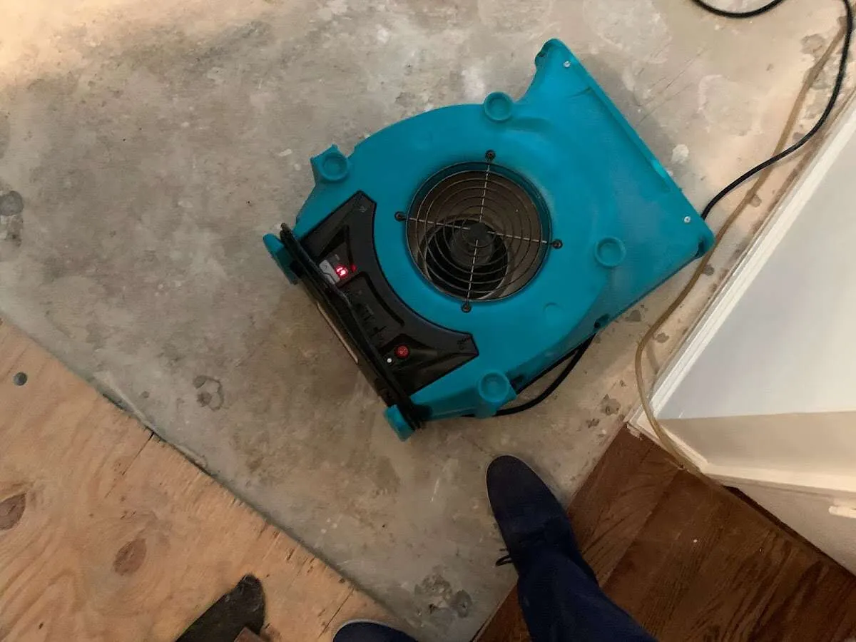 Air mover drying subfloor during Commercial Water Damage Restoration in Kirkland